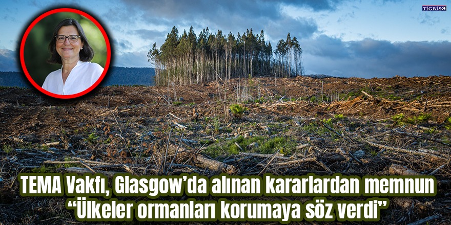 TEMA Vakfı, Glasgow’da alınan kararlardan memnun