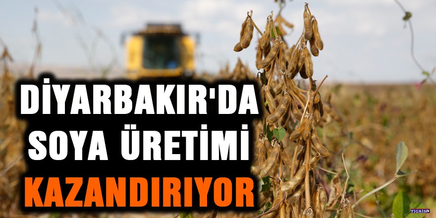 Diyarbakır'da soya üretimi kazandırıyor