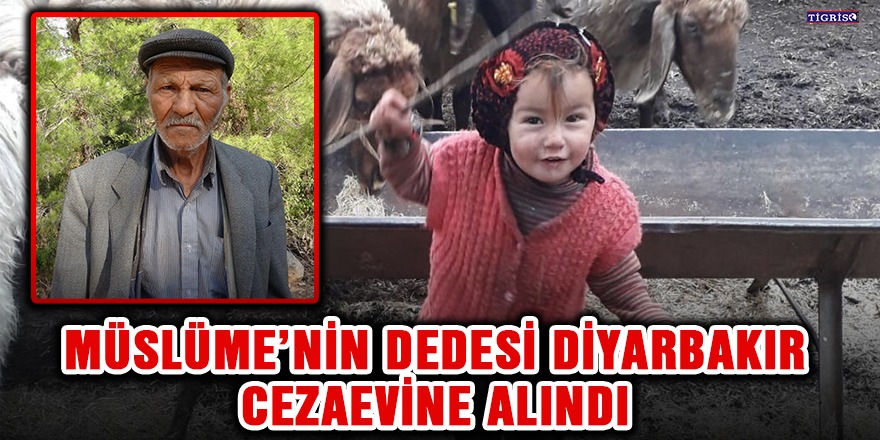 Müslüme’nin dedesi Diyarbakır Cezaevine alındı