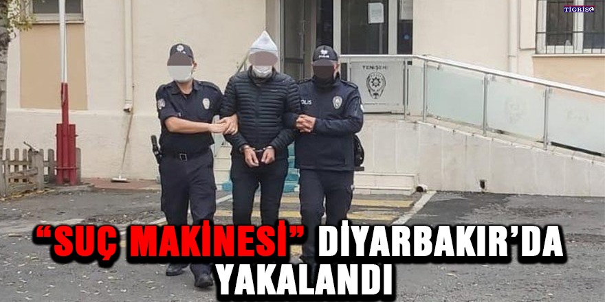 "Suç makinesi" Diyarbakır’da yakalandı