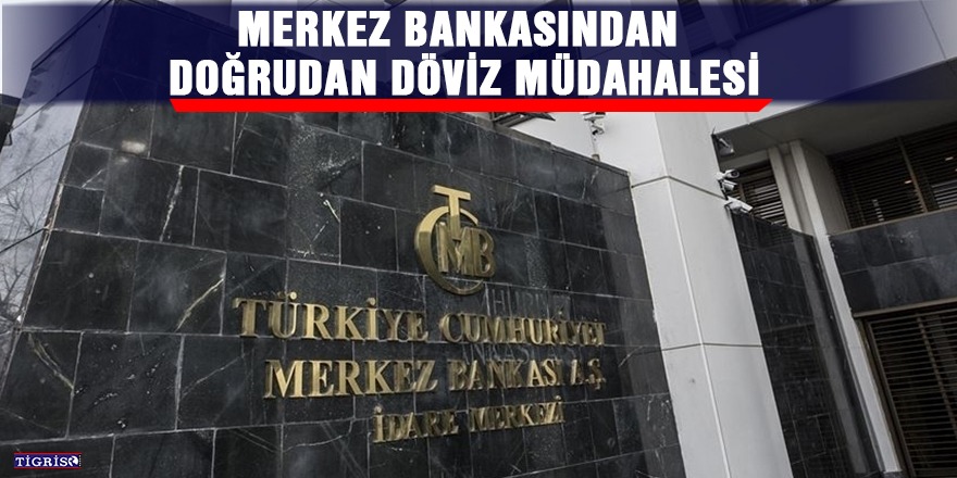 Merkez Bankasından doğrudan döviz müdahalesi