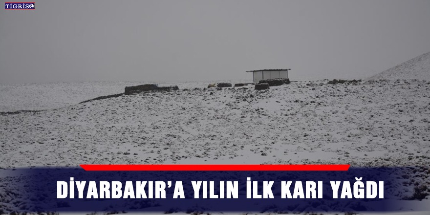 Diyarbakır’a yılın ilk karı yağdı