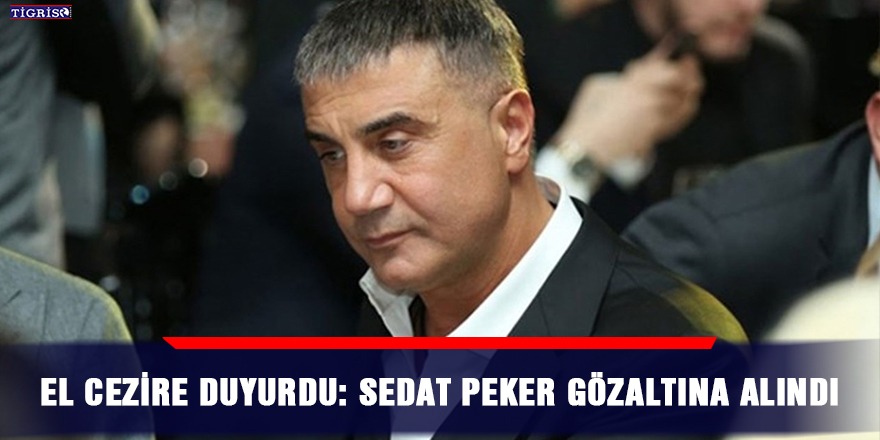 El Cezire duyurdu: Sedat Peker gözaltına alındı