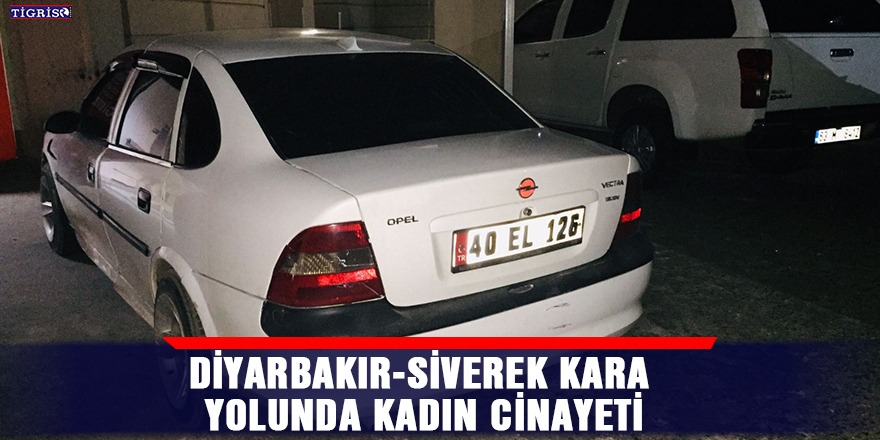 Diyarbakır-Siverek kara yolunda kadın cinayeti