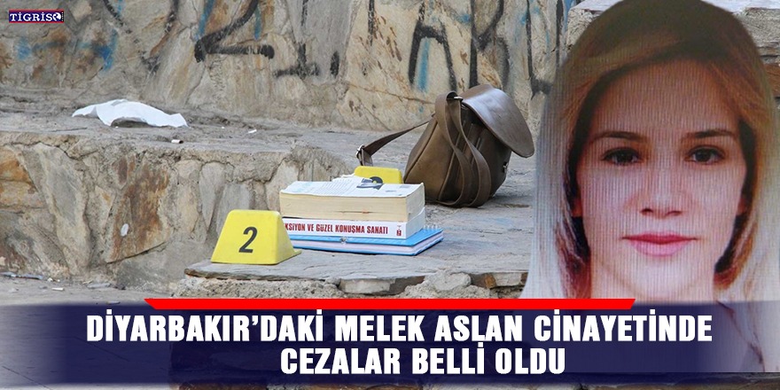 Diyarbakır’daki Melek Aslan cinayetinde cezalar belli oldu