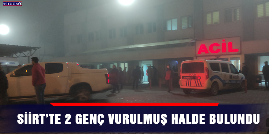 Siirt’te 2 genç vurulmuş halde bulundu