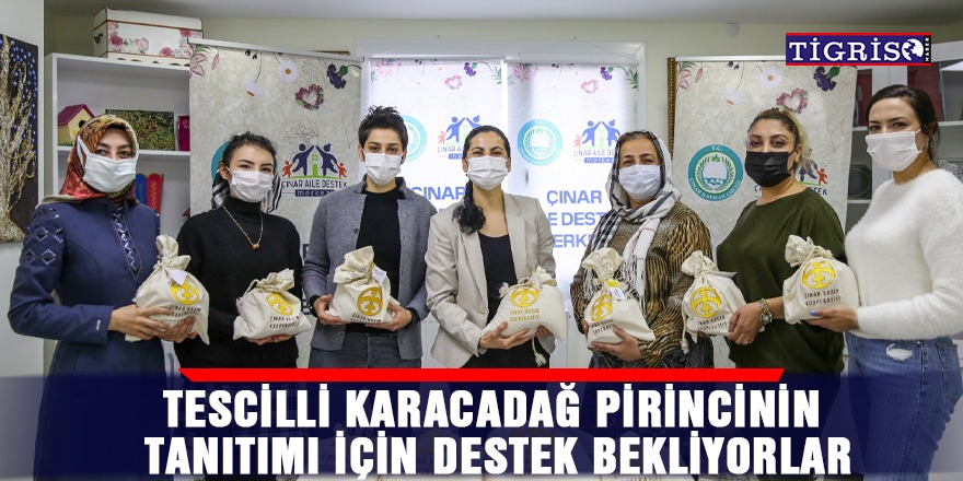 Tescilli Karacadağ pirincinin tanıtımı için destek bekliyorlar