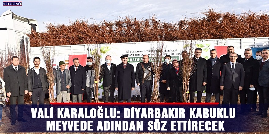 Vali Karaloğlu: Diyarbakır kabuklu meyvede adından söz ettirecek