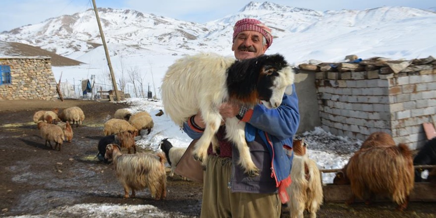 Yaylada eksi 30 derecede bir yaşam