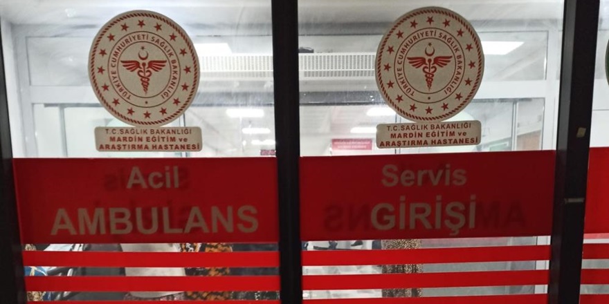 Mardin’de kadın cinayeti: Anne ve kızı hayatını kaybetti