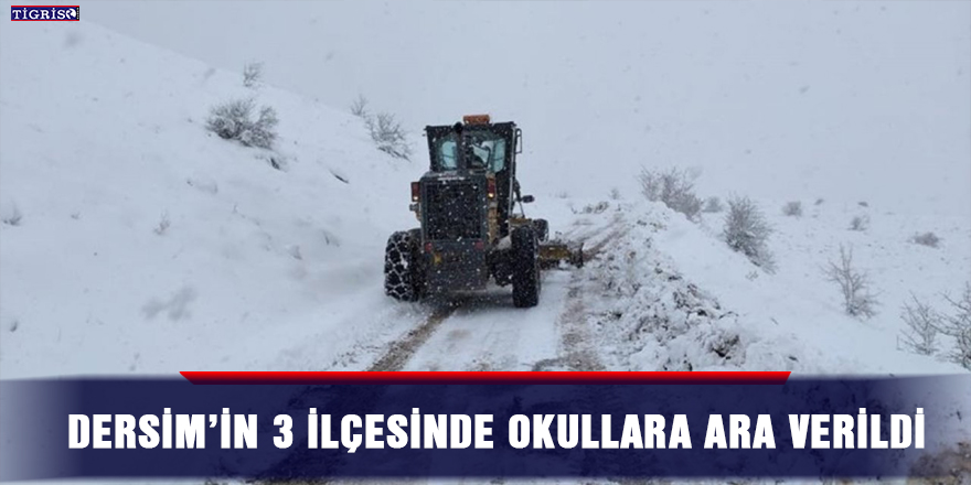 Dersim’in 3 ilçesinde okullara ara verildi