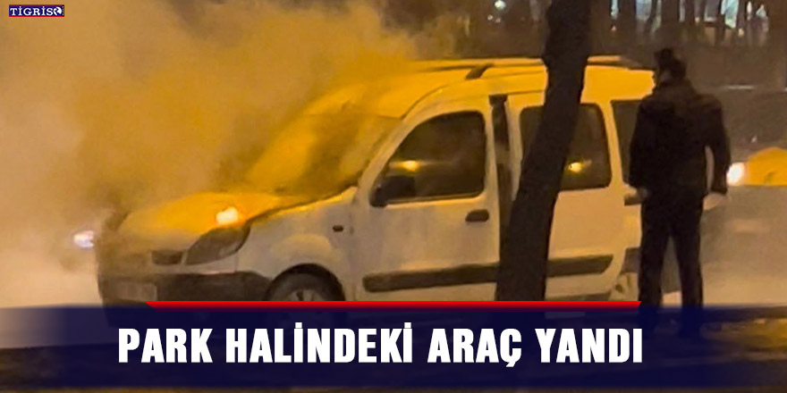 Park halindeki araç yandı