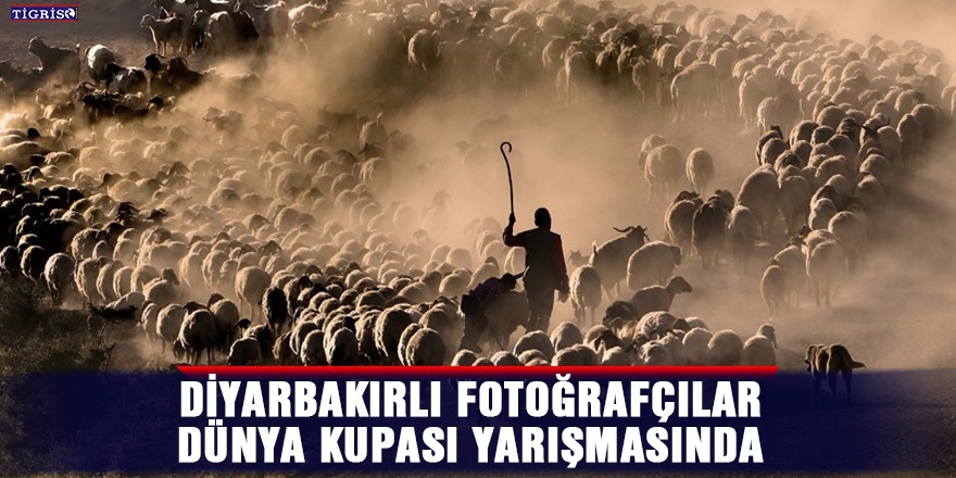 Diyarbakırlı fotoğrafçılar Dünya Kupası yarışmasında