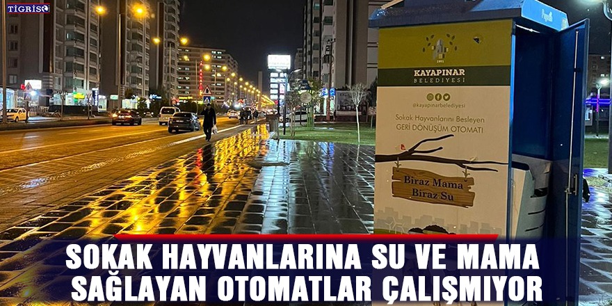 Sokak hayvanlarına su ve mama sağlayan otomatlar çalışmıyor