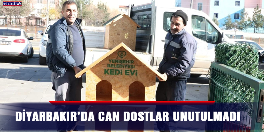 Diyarbakır’da can dostlar unutulmadı