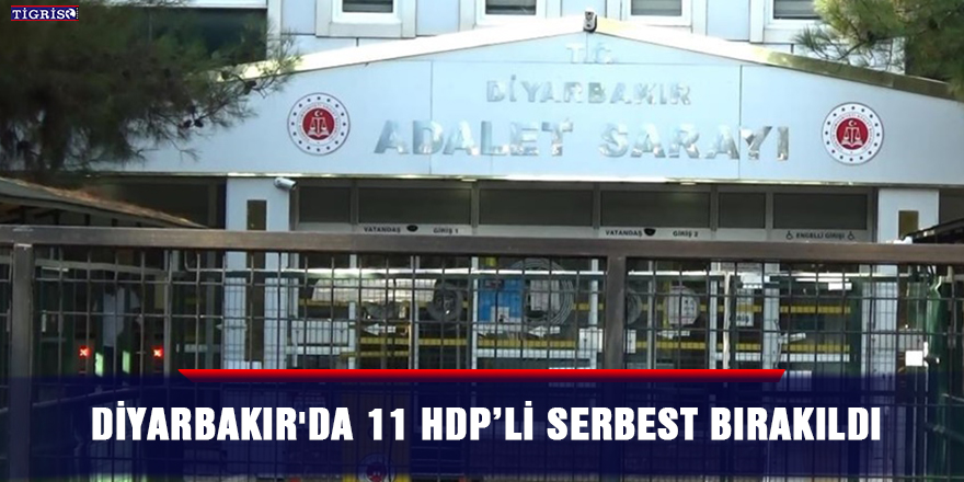 Diyarbakır'da 11 HDP’li serbest bırakıldı