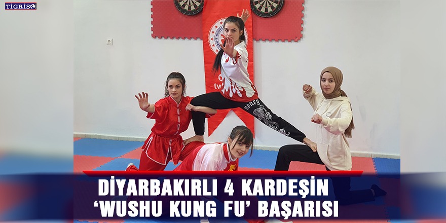VİDEO - Diyarbakırlı 4 kardeşin ‘Wushu Kung Fu’ başarısı