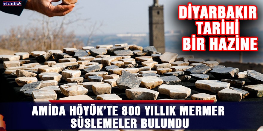 Amida Höyük’te 800 yıllık mermer süslemeler bulundu