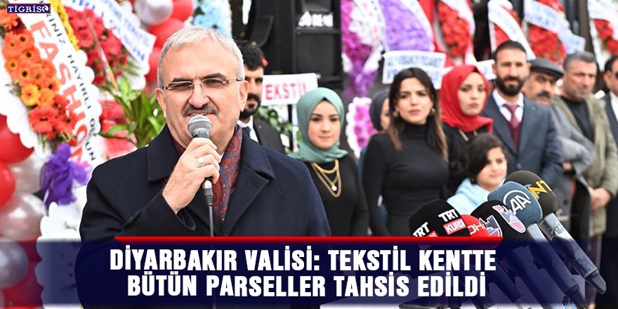Diyarbakır Valisi: Tekstil kentte bütün parseller tahsis edildi