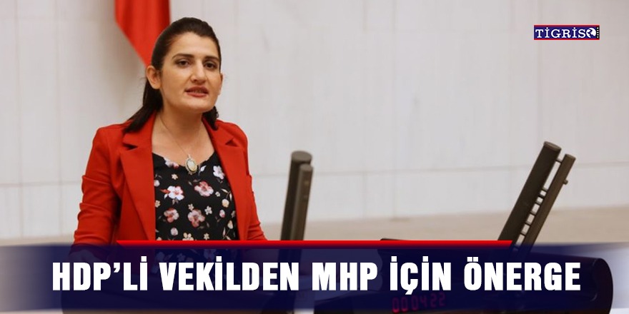 HDP’li vekilden MHP için önerge