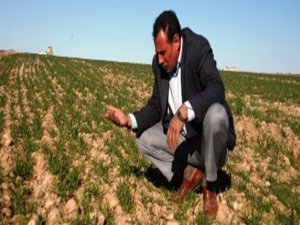 Kuraklığa karşı 4 ayaklı plan hazır