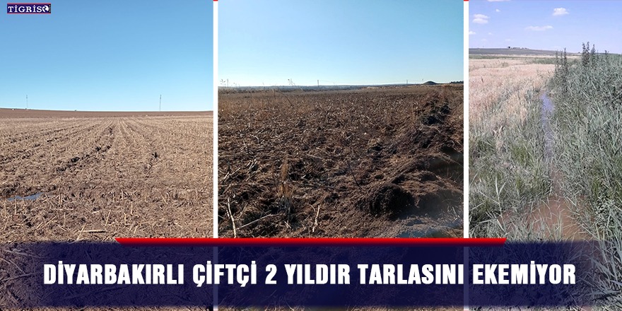 Diyarbakırlı çiftçi 2 yıldır tarlasını ekemiyor