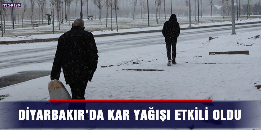 Diyarbakır’da kar yağışı etkili oldu