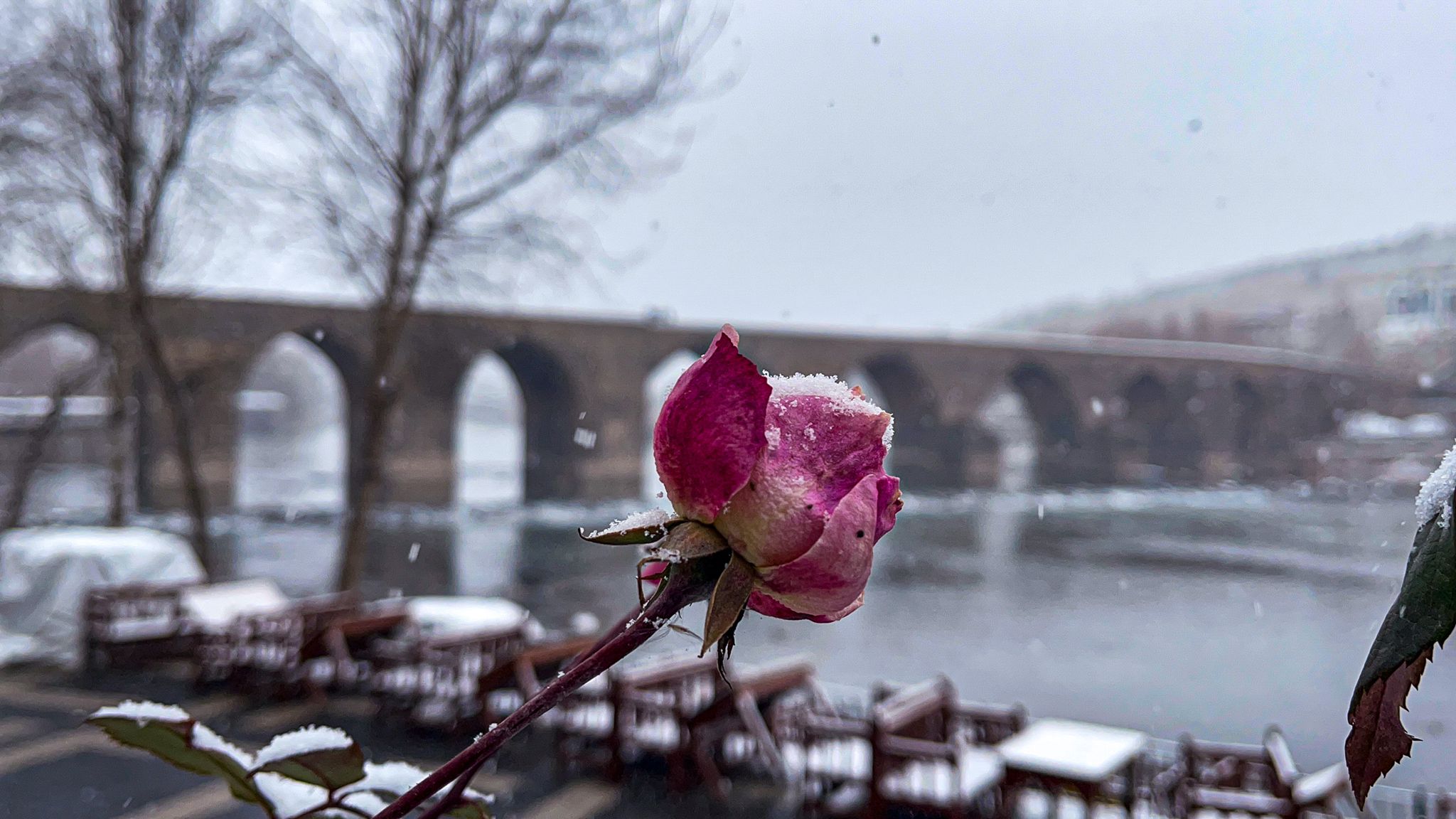 Diyarbakır Valisi duyurdu: Okullar tatil edildi