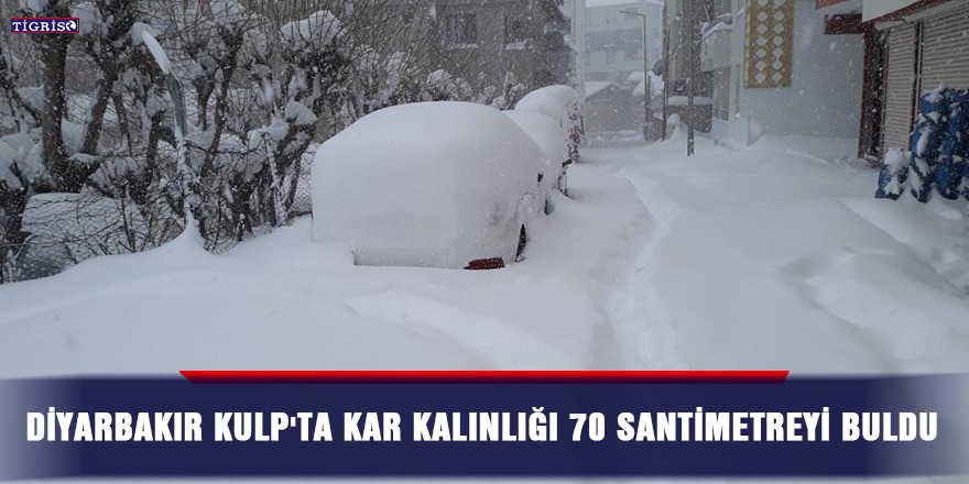 Diyarbakır Kulp'ta kar kalınlığı 70 santimetreyi buldu