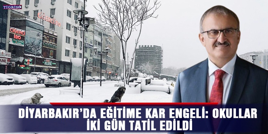 Diyarbakır’da eğitime kar engeli: Okullar iki gün tatil edildi