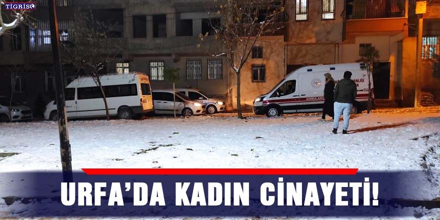 Urfa’da kadın cinayeti!