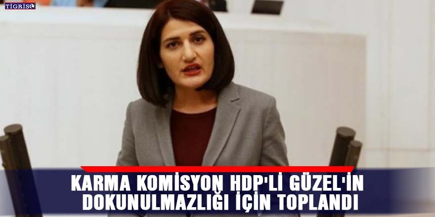 Karma Komisyon HDP'li Güzel'in dokunulmazlığı için toplandı
