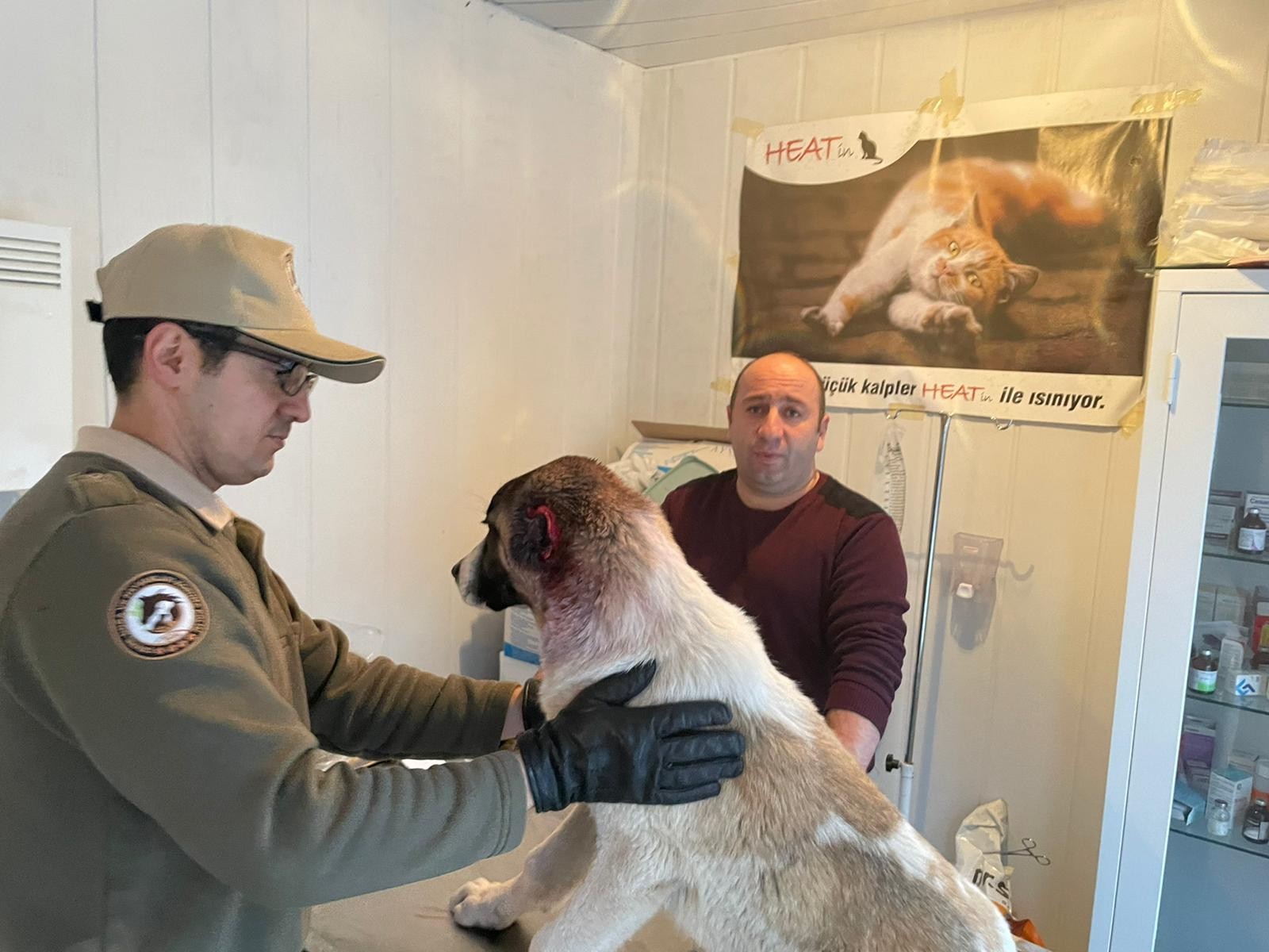 Köpeğe işkence yapan çocuğa adli işlem ve para cezası