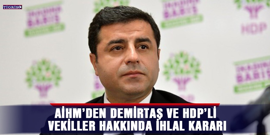 AİHM’den Demirtaş ve HDP’li vekiller hakkında ihlal kararı