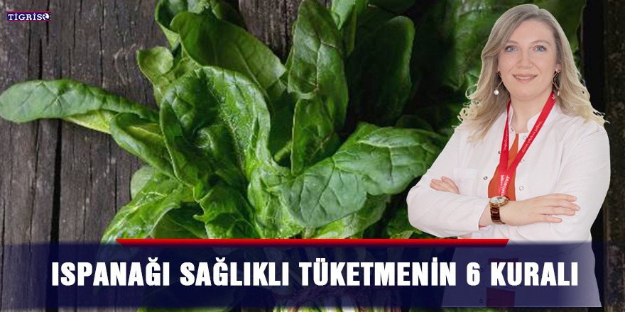 Ispanağı sağlıklı tüketmenin 6 kuralı