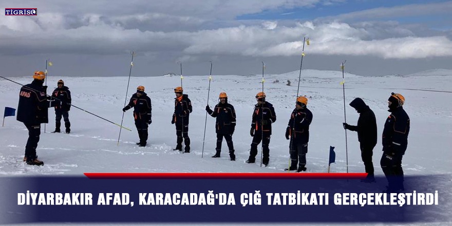 Diyarbakır AFAD, Karacadağ'da çığ tatbikatı gerçekleştirdi