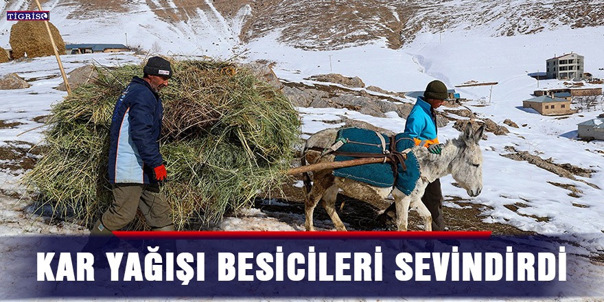 Kar yağışı besicileri sevindirdi