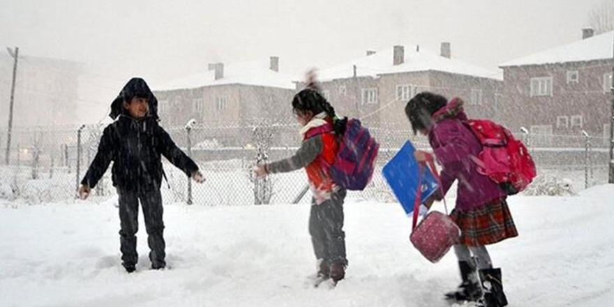Diyarbakır'ın bir ilçesinde okullar tatil edildi
