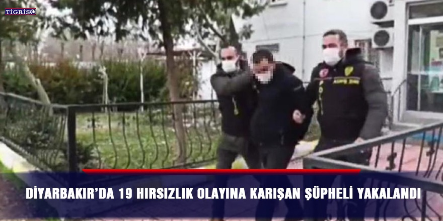 Diyarbakır’da 19 hırsızlık olayına karışan şüpheli yakalandı