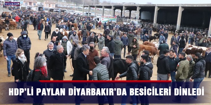 HDP’li Paylan Diyarbakır’da besicileri dinledi