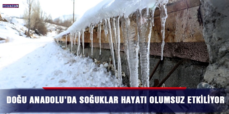 Doğu Anadolu’da soğuklar hayatı olumsuz etkiliyor
