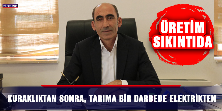 Kuraklıktan sonra, tarıma bir darbe de elektrikten