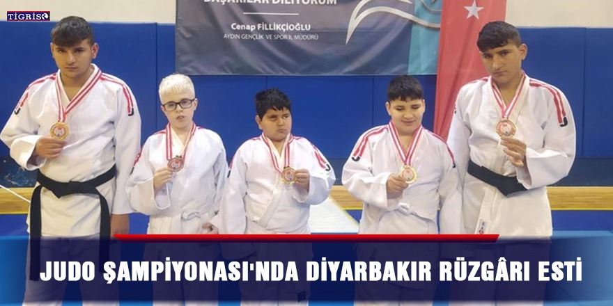 Judo Şampiyonası'nda Diyarbakır rüzgârı esti