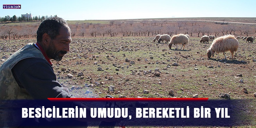 Besicilerin umudu, bereketli bir yıl