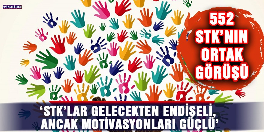 "STK’lar gelecekten endişeli, ancak motivasyonları güçlü"