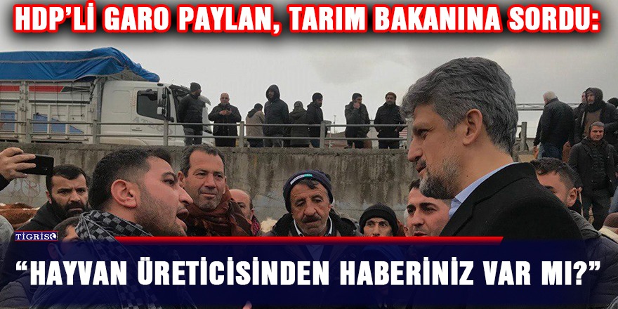 HDP’li Paylan'dan, Tarım Bakanına: “Hayvan üreticisinden haberiniz var mı?”