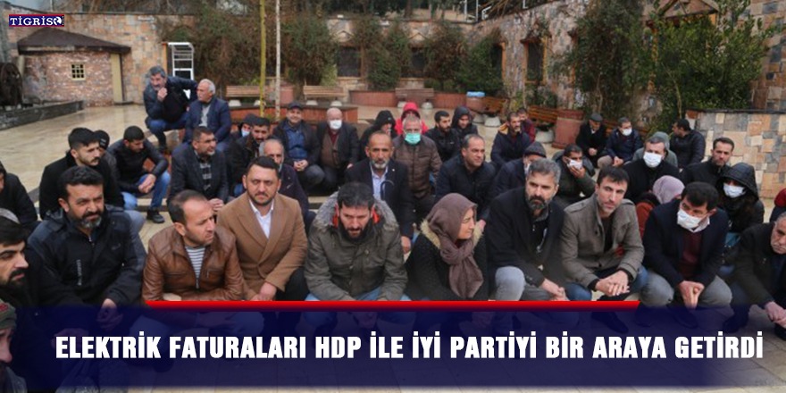 Elektrik faturaları HDP ile İYİ Partiyi bir araya getirdi