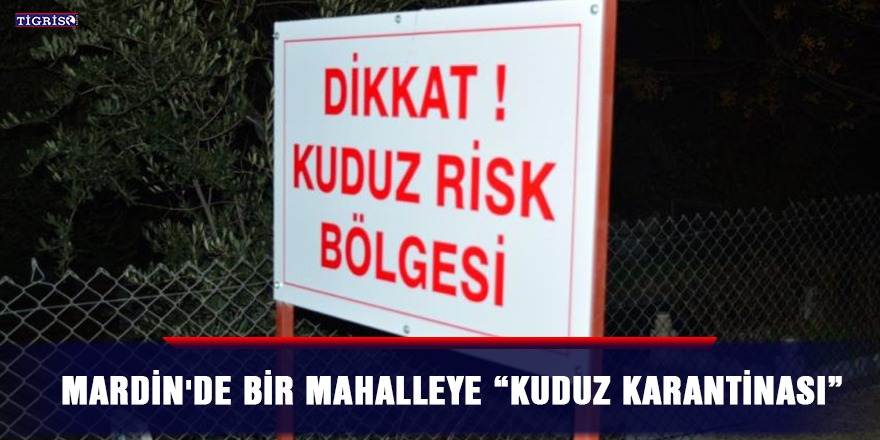 Mardin'de bir mahalleye 'kuduz karantinası'