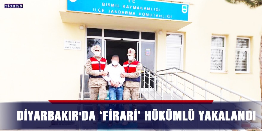 Diyarbakır'da 'firari' hükümlü yakalandı