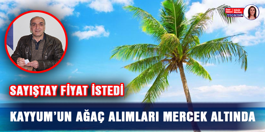 Sayıştay fiyat istedi